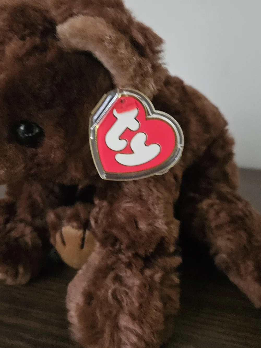 Ty Plush Brown Bear Pet Toy - Dark and Light Brown